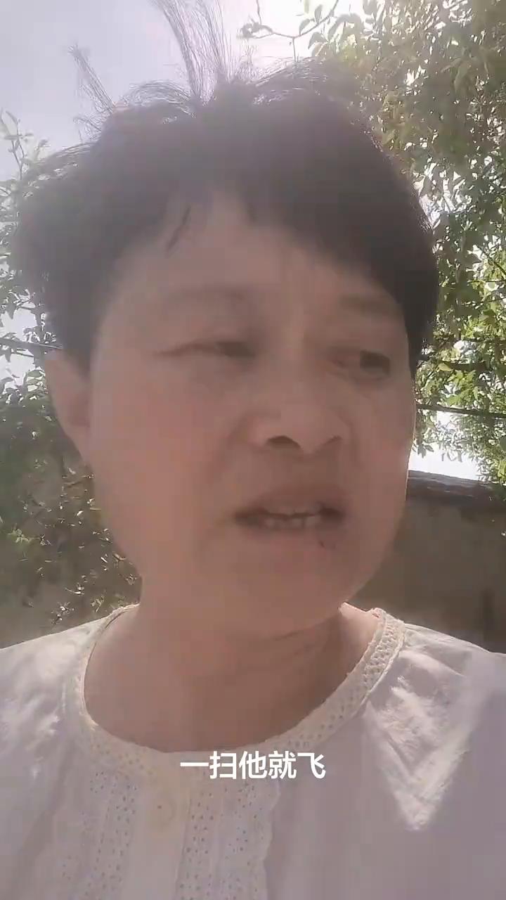 出门是猫猫，回家是猫猫。你的家乡这个季节是不是也是烂猫猫？一会粘你的脸，一会眯你