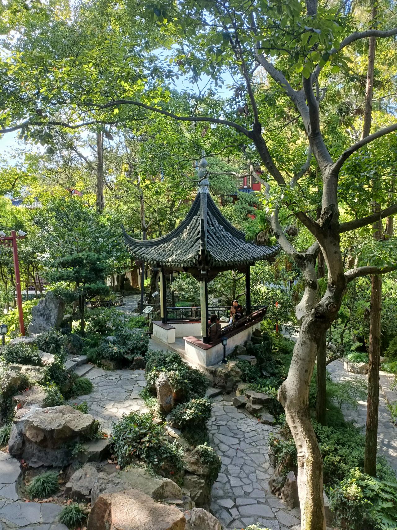 孤独中坚持梦想，真的太可贵了。生命本就是孤独旅程，没那么多鲜花掌声，更多是寂静长