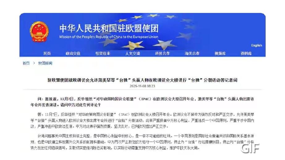 欧洲议会这次可真是捅娄子了！11月7日，反华组织IPAC年会让“台独”分子萧美琴