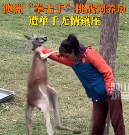 袋鼠：上来就锁我脖，就差二寸[心]

网友：最了解你的还得是你身边的女人啊