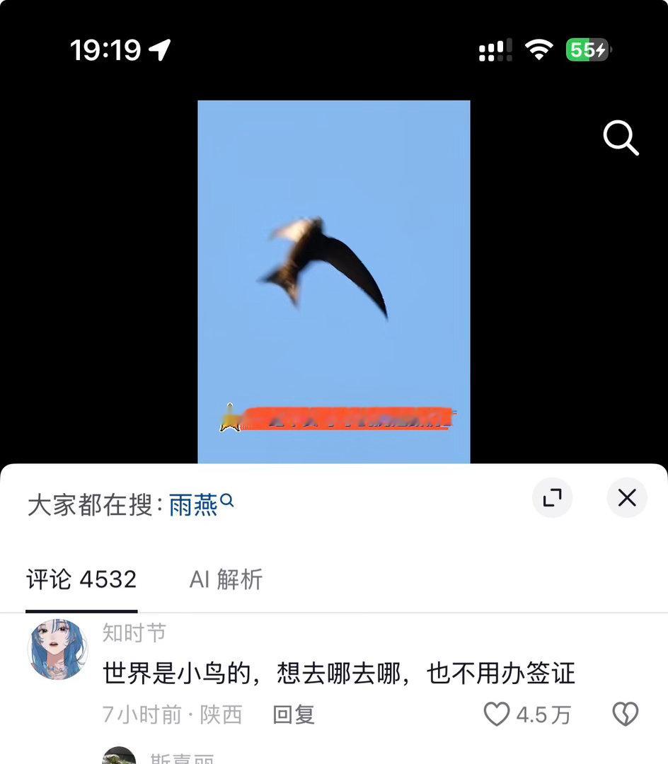 呜呜呜😭 