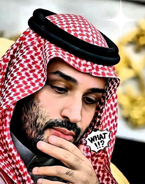 沙特这回是真把桌子给掀了。25艘超大油轮，满载5000万桶原油，完全不理会霍尔木