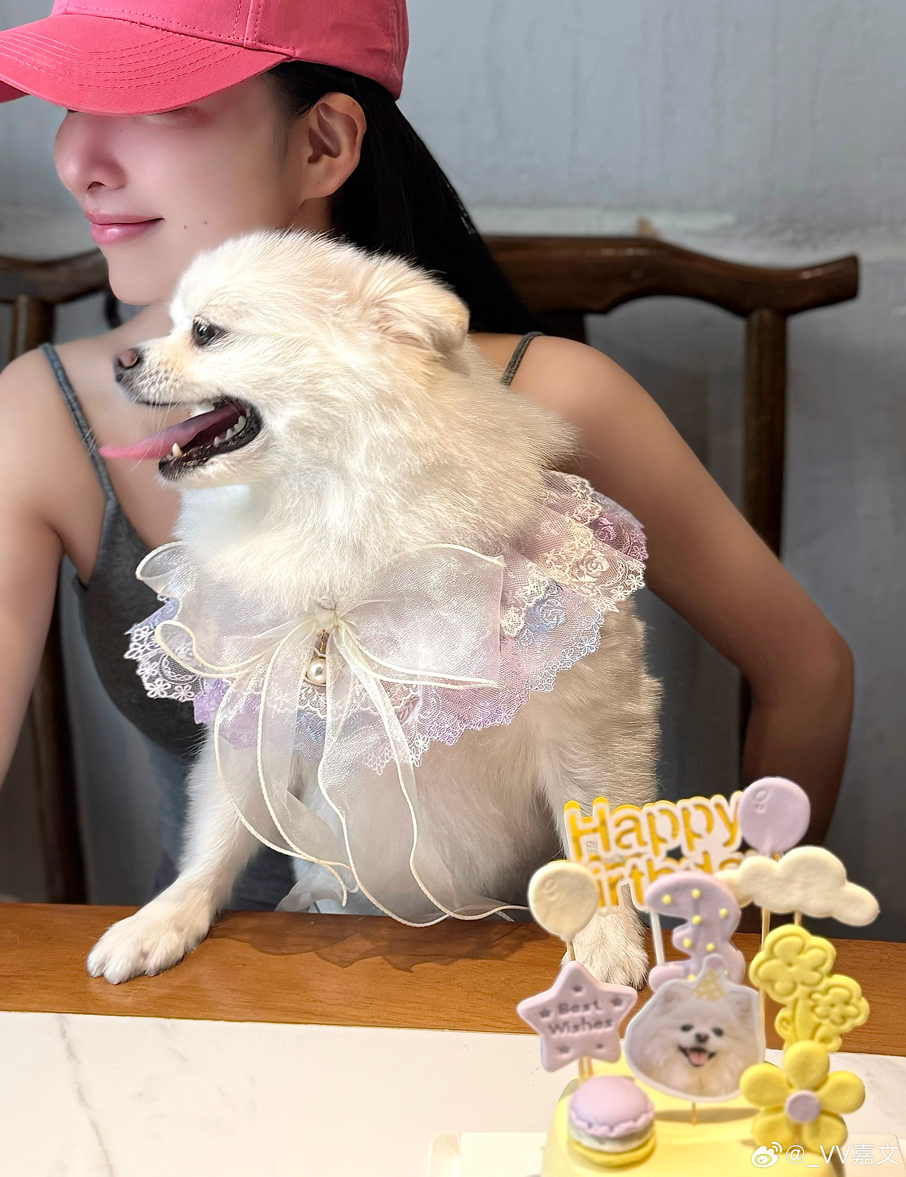 3岁小狗🐶🎂 