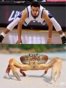 这就是你们说的“螃蟹🦀”？？？ 
