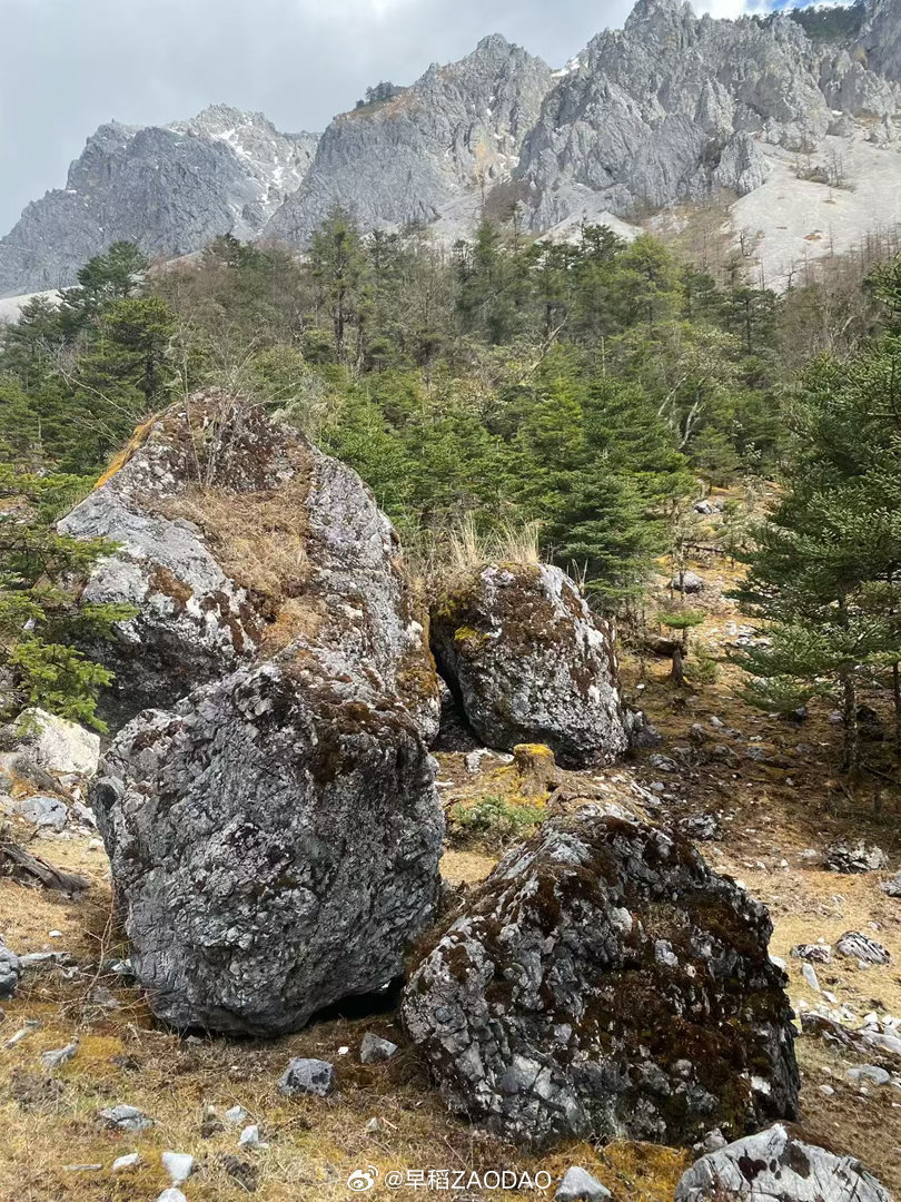 跌宕起伏，幸运还是收集了很多大山素材，马上回家继续闭关画～～～ 