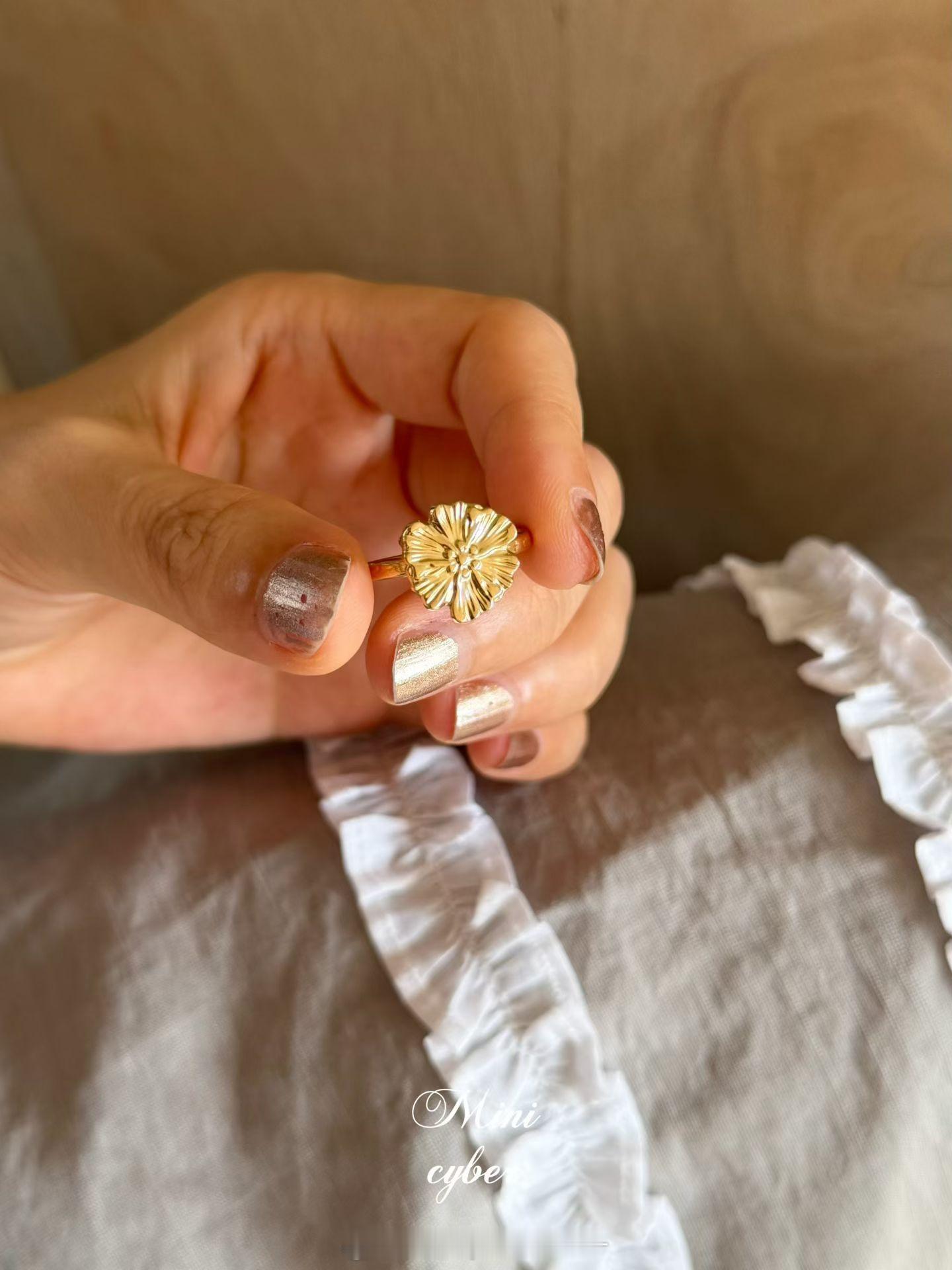非洲菊 ​​​