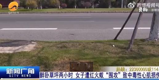 “醉酒女子被红火蚁捡尸！”7月15日报道，福建泉州，一女子喝醉了酒，直接醉倒在了
