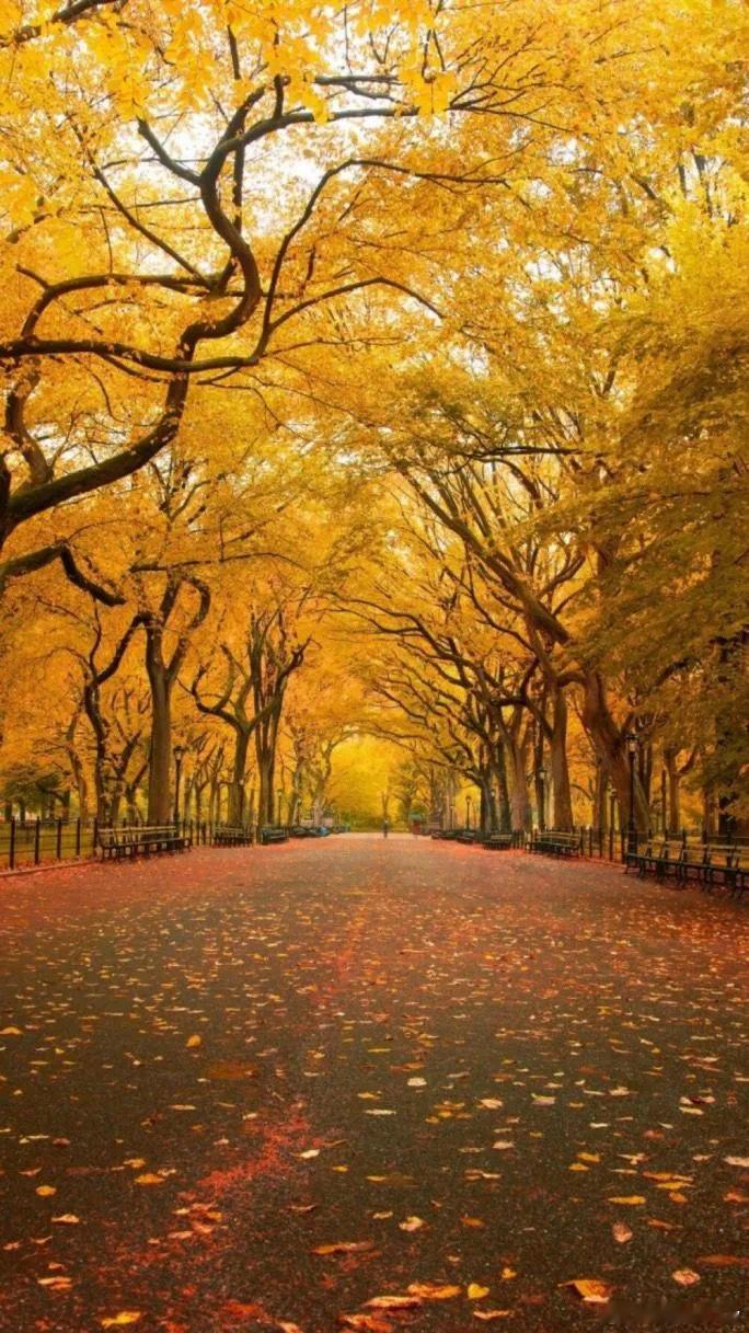 花魂千载·默斋主人原创戏腔词【引子·轻念白｜气声微颤】满城烟火，只为赴一眼，千年