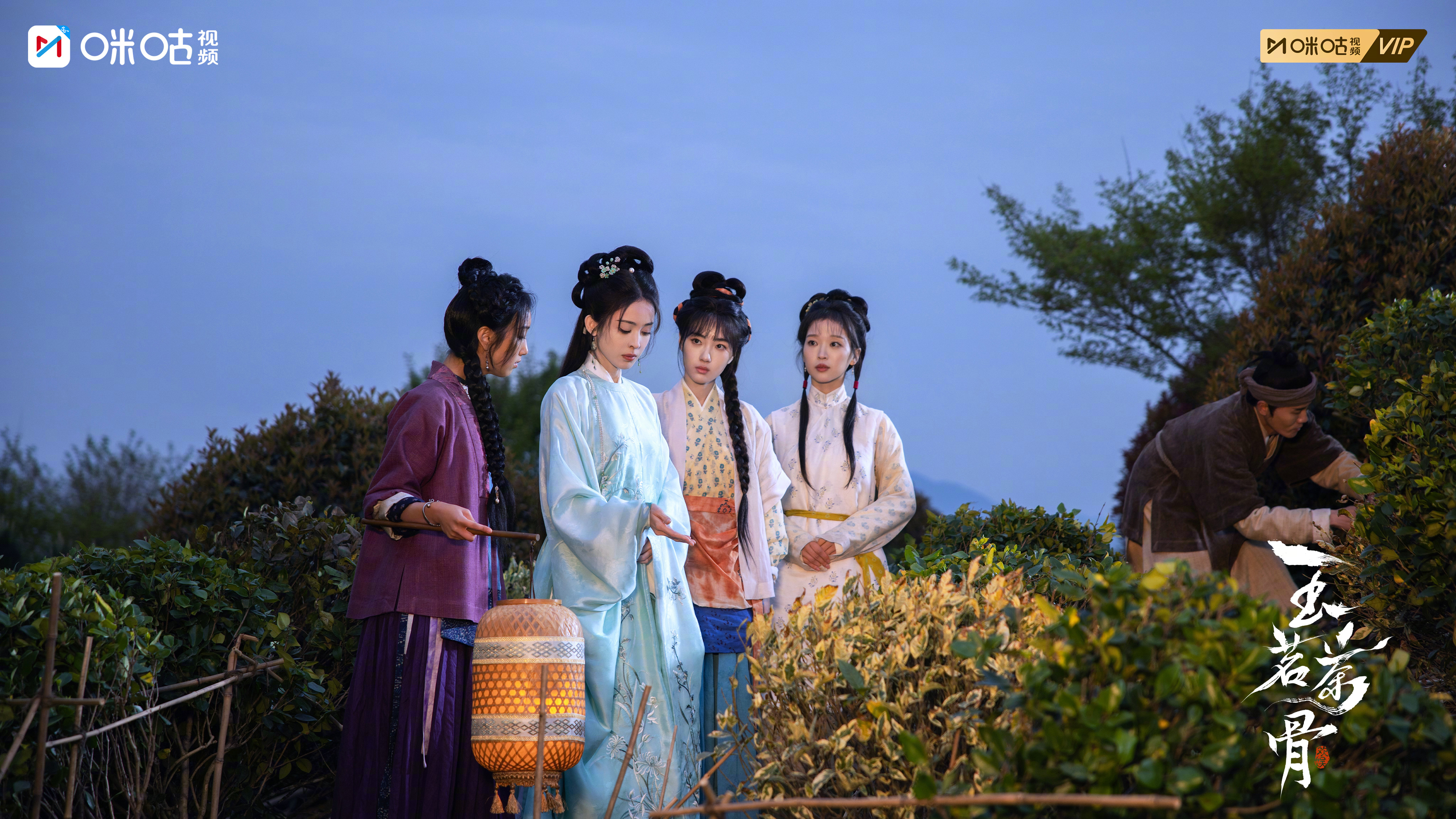 玉兰花信未至，噩耗先临，所有温情顷刻化为指认的利刃。碳盆藏诡，汤药含机，他在风暴