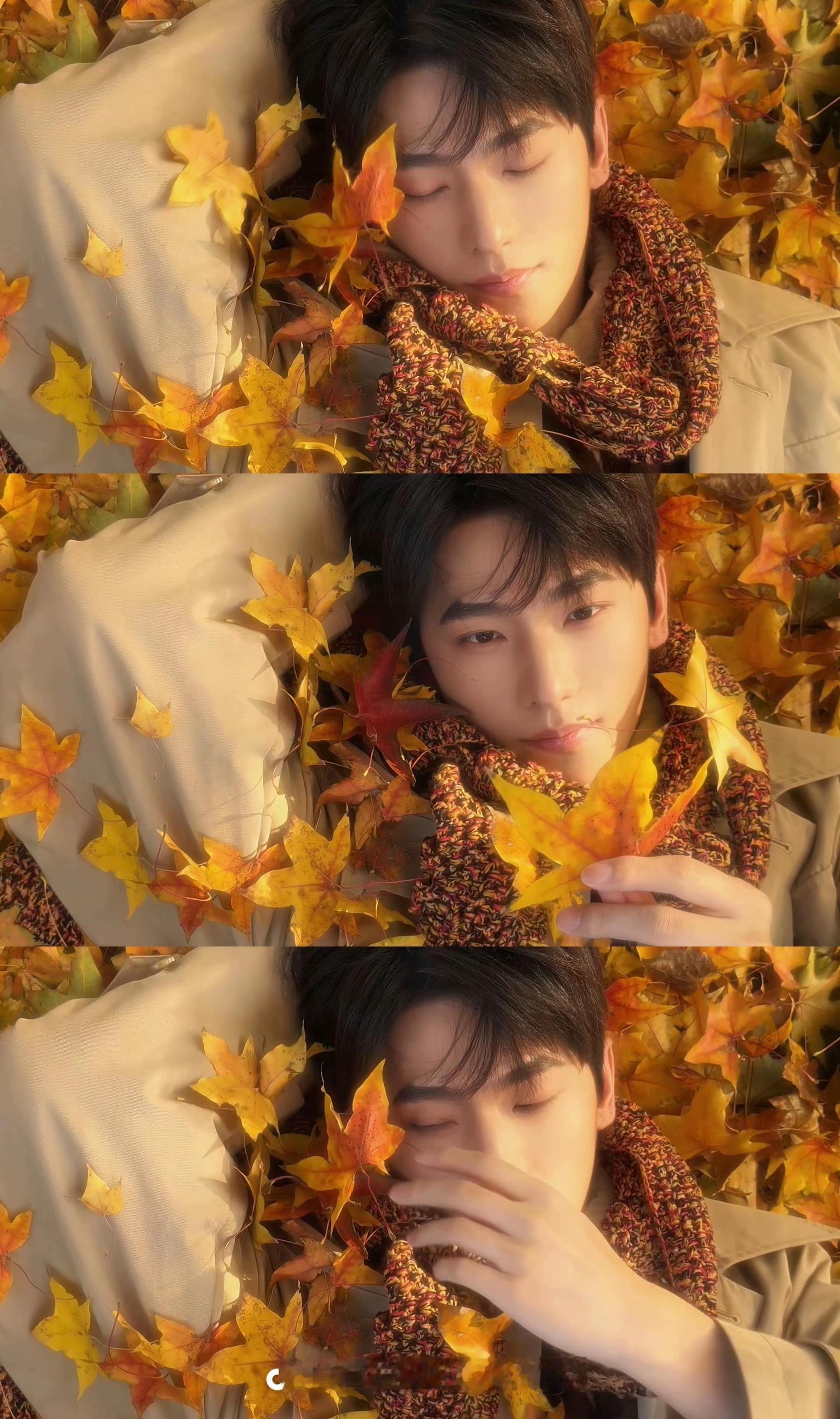 总觉得他把韩立放出来，轻轻的抱了抱我们。 ​​​