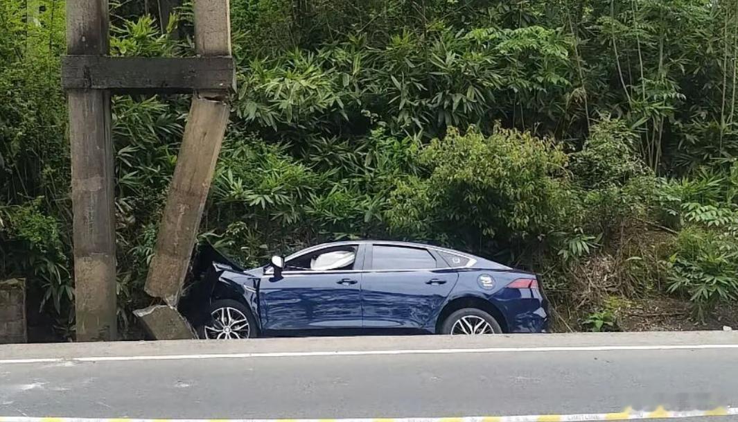 比亚迪秦PLUS车主这是想上闪充啊…桥梁都干断了，保险公司一脸懵逼