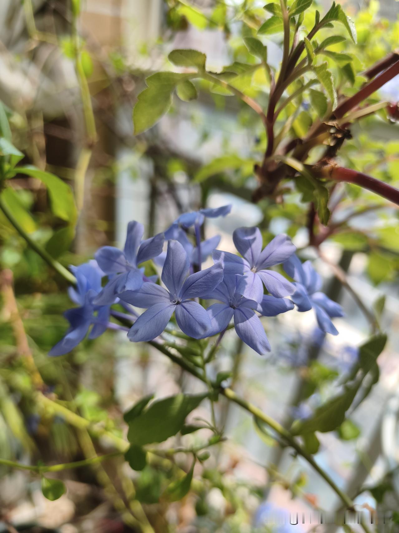 今年小学课本又又又改了，我们上了四年小学，今年刚进入五年级，但是课本已经改了两次
