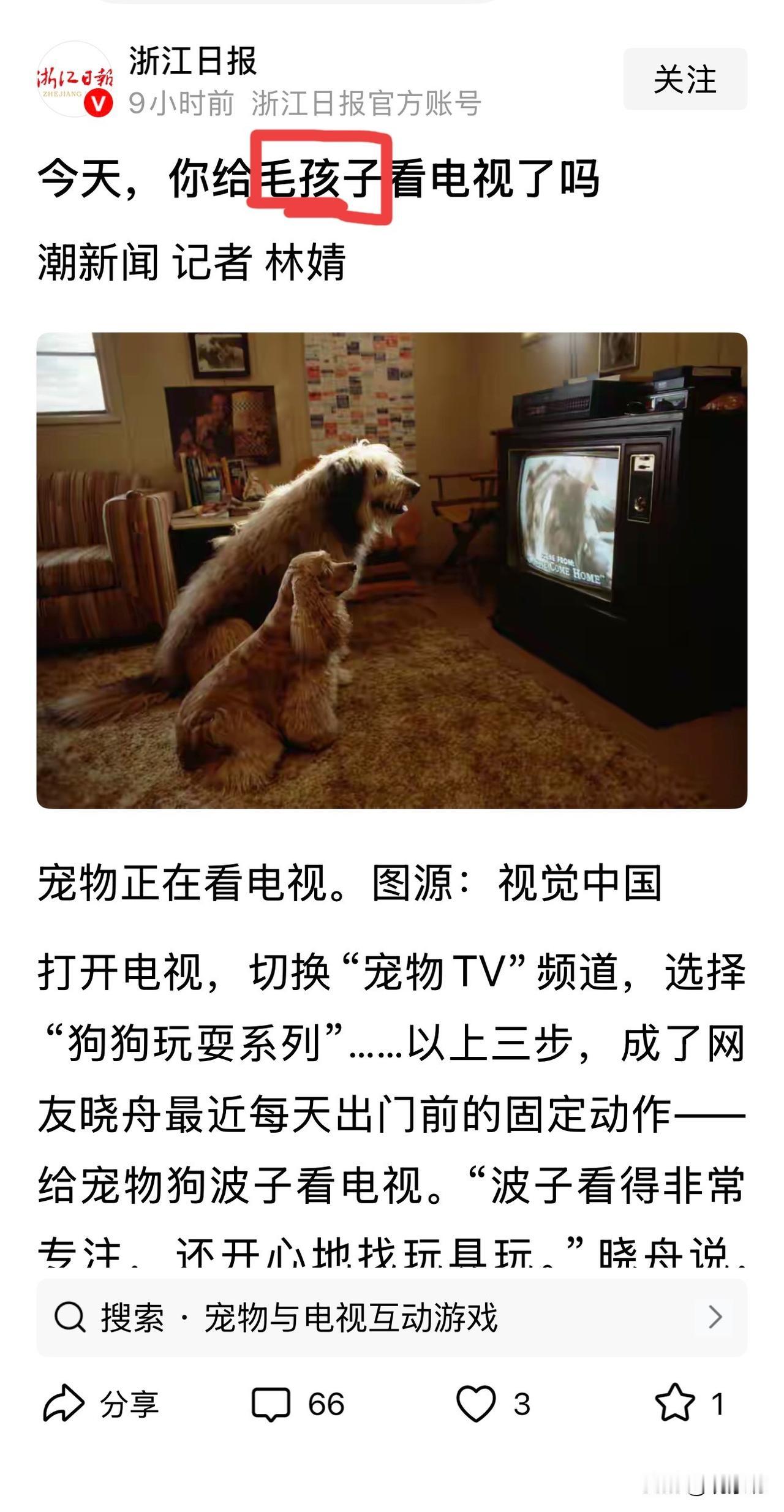 “毛孩子”：一个让我浑身起鸡皮疙瘩的称呼，某些媒体还把它当“温情”来推！

不知