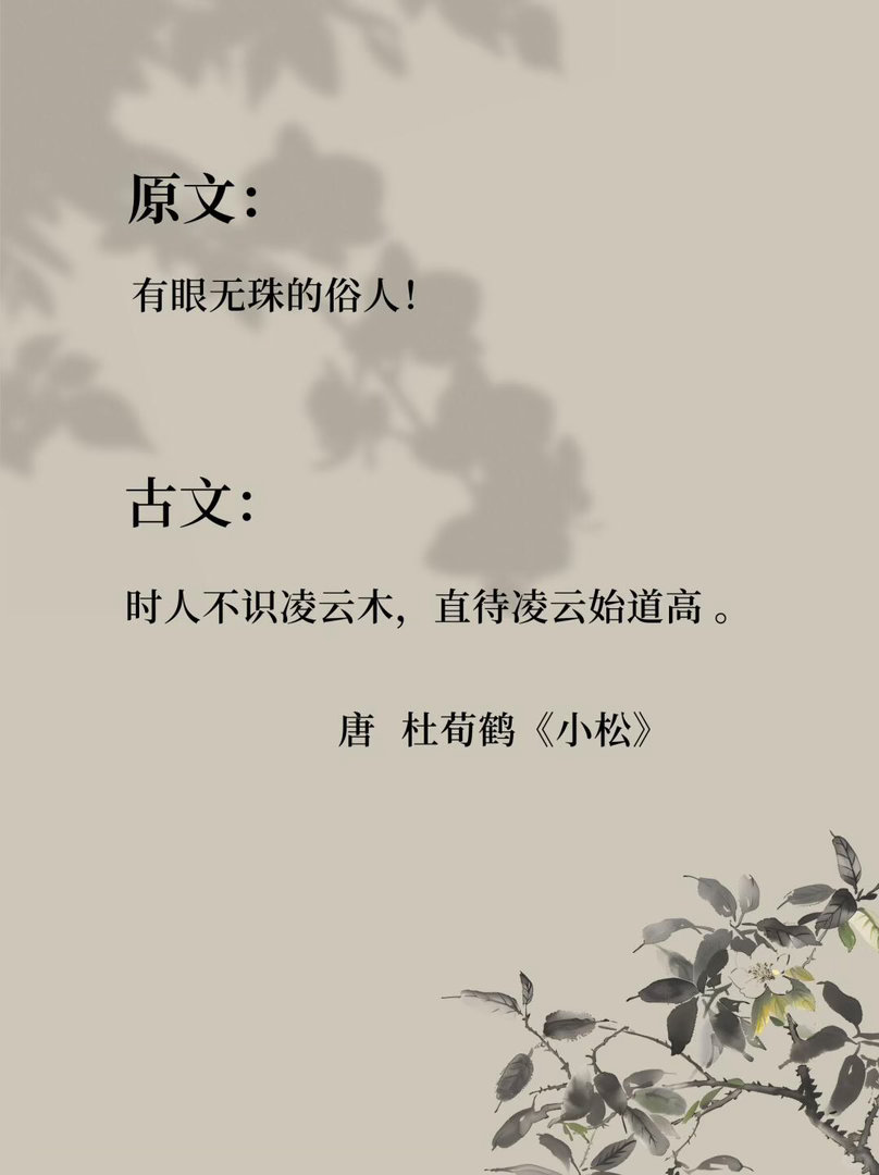 文化人怼人也太有梗了以为被夸了其实被骂了 太爷这小嘴就跟淬了毒一样啊！这骂人的功