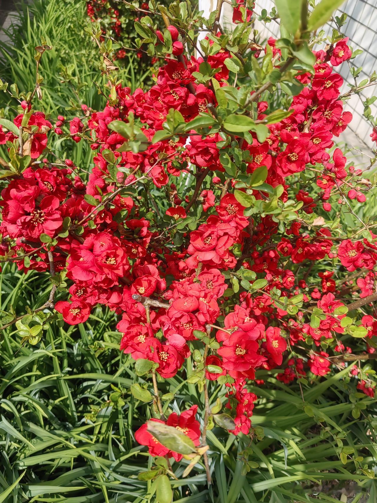日子一般般，快乐很简单，别让生活的压力挤走快乐，别让鸡零狗碎的事，耗尽你对生活所