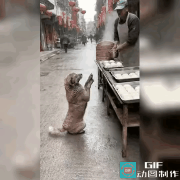 经常会看到这个画面，由于现在AI生成画面的东西太多了，都不敢相信和确定哪个是真的