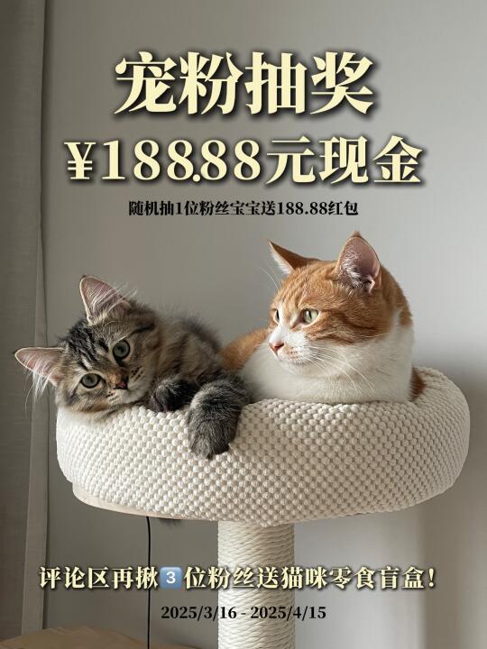 恭喜你中奖了❗️现金红包和宠物零食免费送🧧