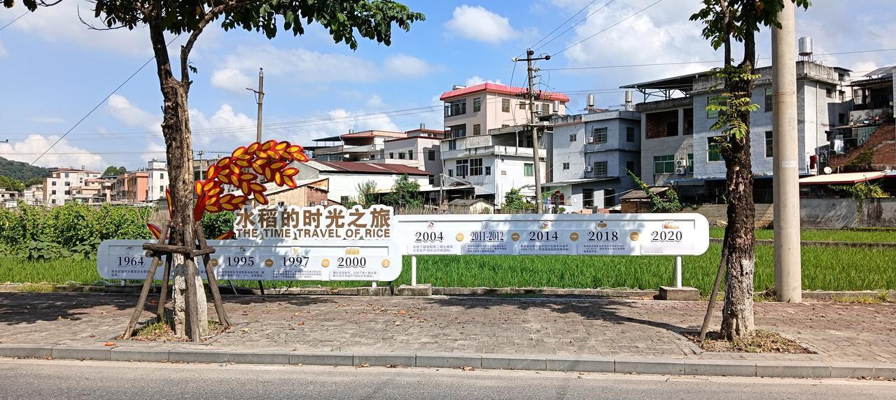 漳州市长泰区林墩——这是一则树立田间地头的广告牌，用独特的方式来说明，我国自19