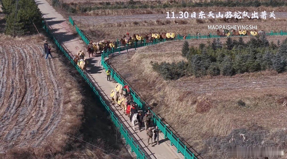 洛阳头条重走丝路，11月30日，东天山骆驼队翻山越岭，驼队出天山，今日进萧关。行