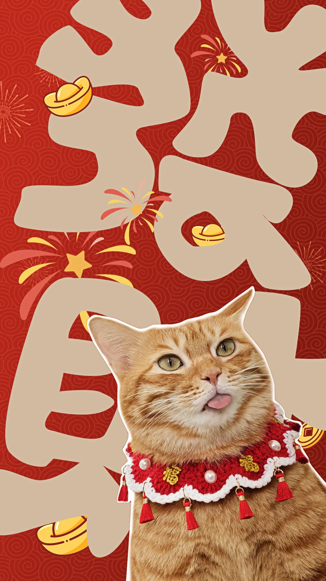 小咪也要过大年