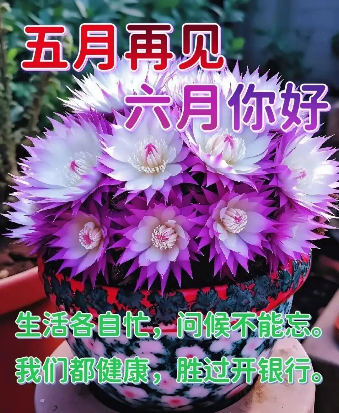 人间最美六月天，不负时光，不负自己，愿你想要的都能拥有，得到的都能珍惜，失去的都