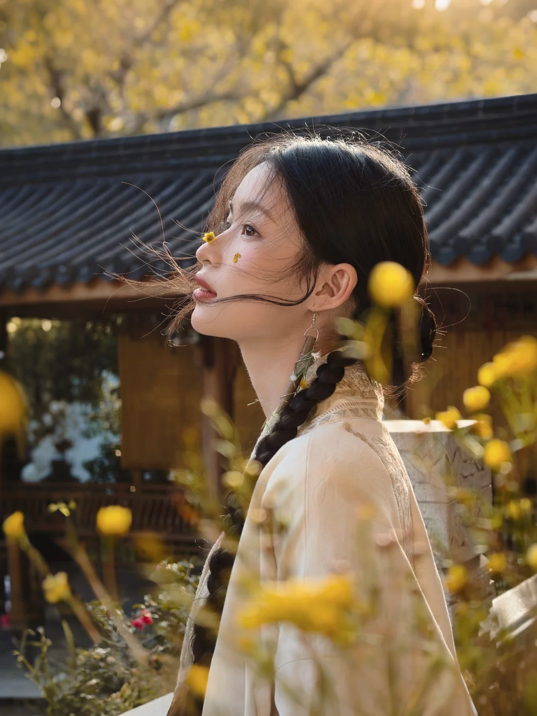 暗香浮动月黄昏