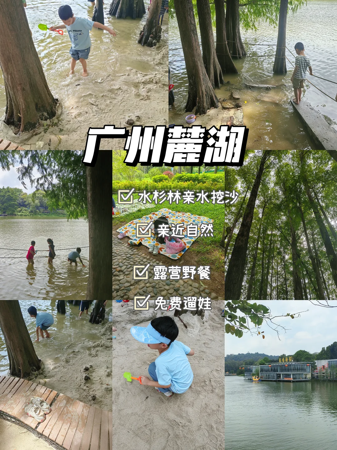 广州麓湖公园，水杉林下白沙滩免费挖沙玩水