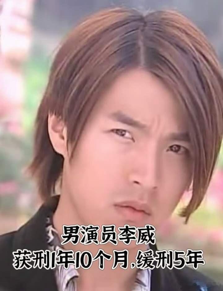 李威获刑1年10个月缓刑5年《放羊的星星》演员李威卷入的精舍杀人案宣判依伤害致死