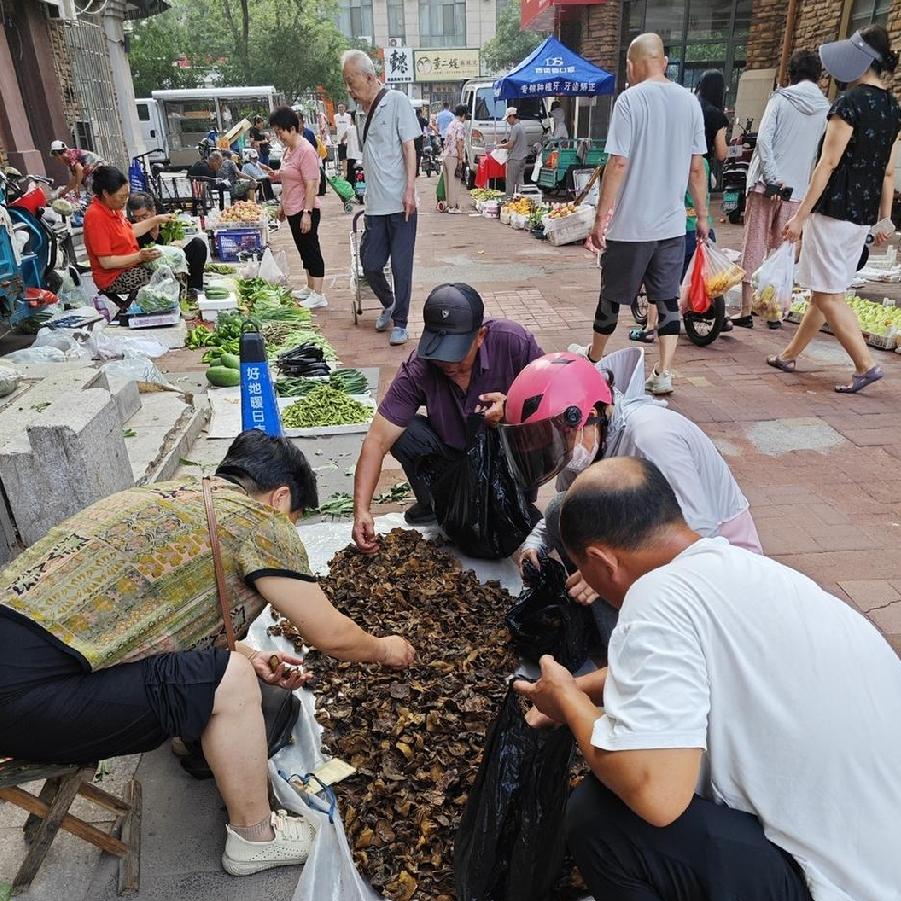 如此山蘑，你会买吗？
野生山蘑在我们这边真是不多见。
在早市上看到一卖干蘑菇的，