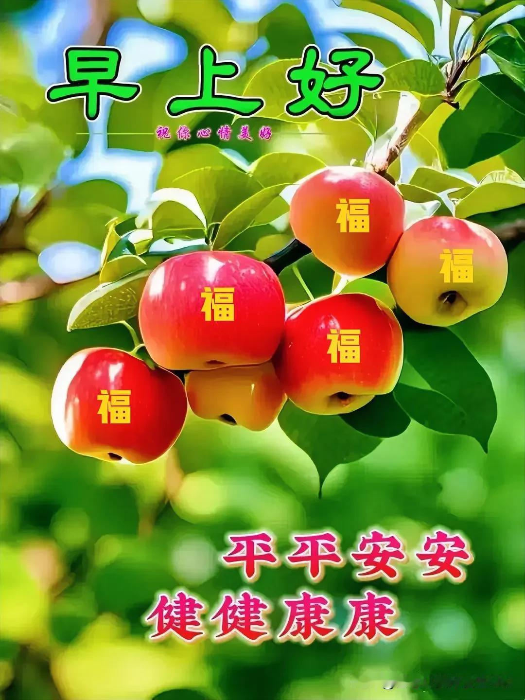 晚年的幸福，
才是真的幸福。
[福][福][福][福][福]

人呀，
当你平步