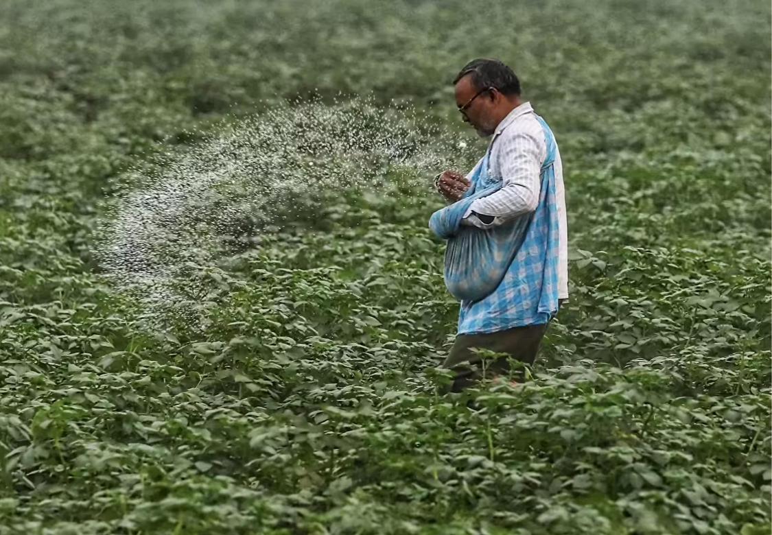 天价买单！印度尿素招标全线翻车，限价硬扛市场，终究为短视政策付出沉重代价

4 