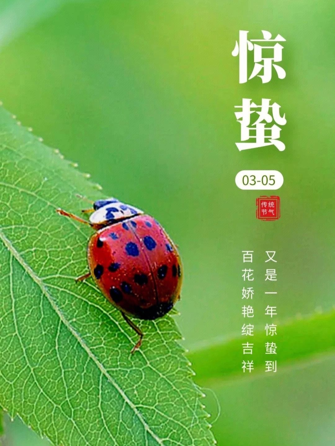 今天是惊蛰，养生要点是顺天时。#爱叹气是身体在求救# 惊蛰一定不要熬夜！睡好是养