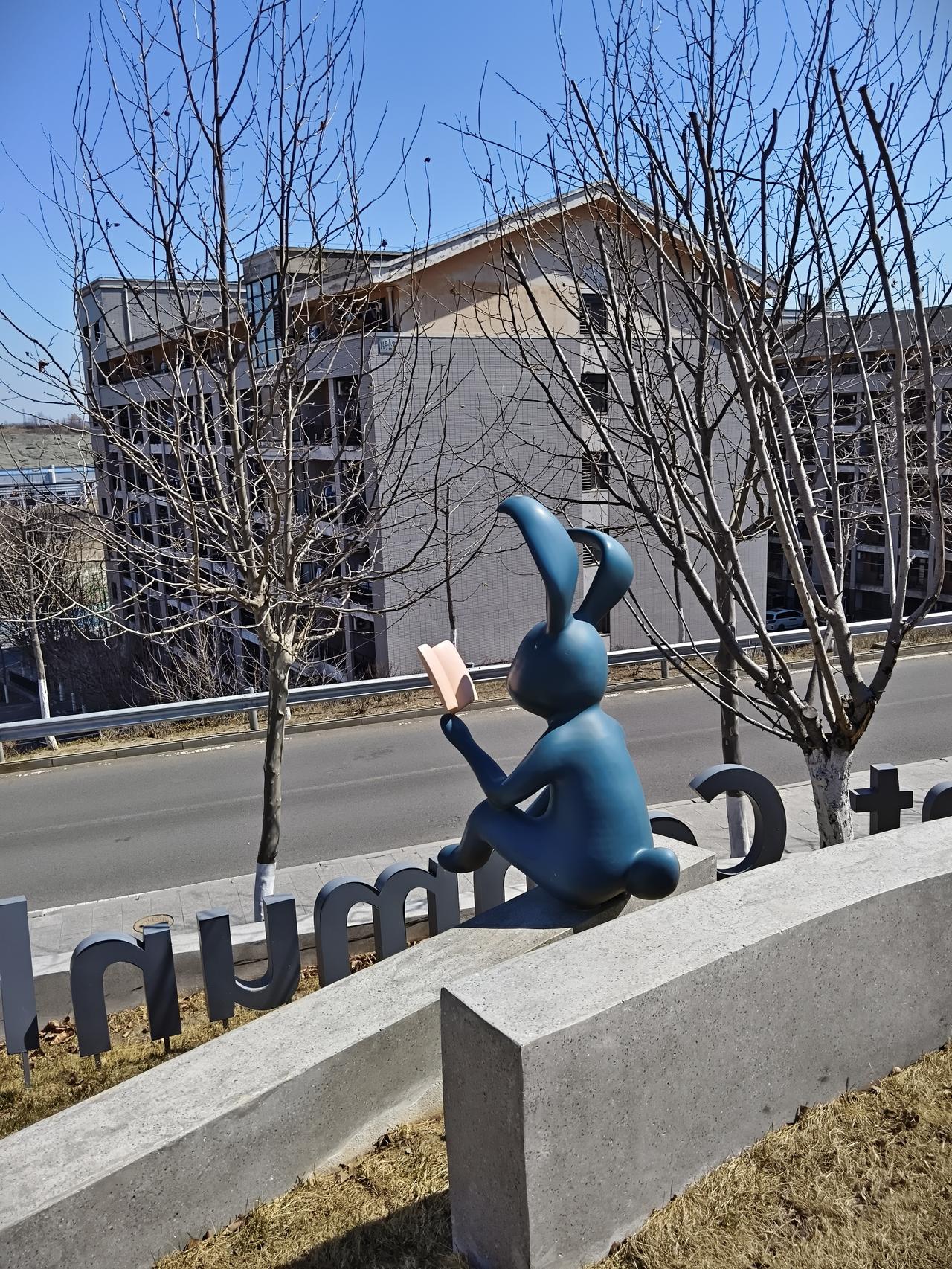 永远努力学习的“兔子”同学，在大连的一所大学里，有一座小山包，半山腰坐着“兔子同