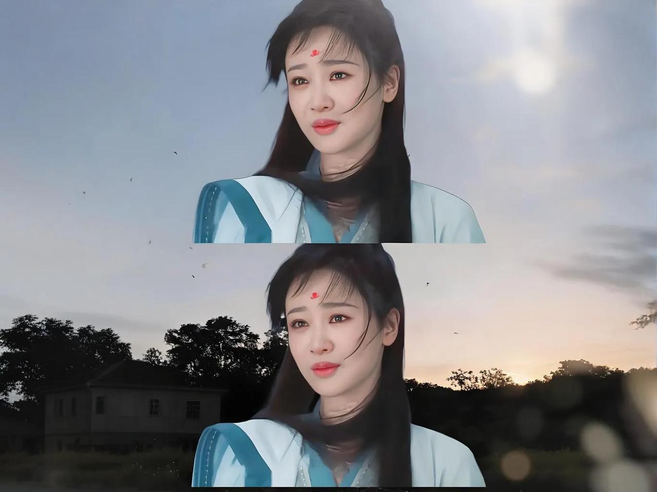 愿