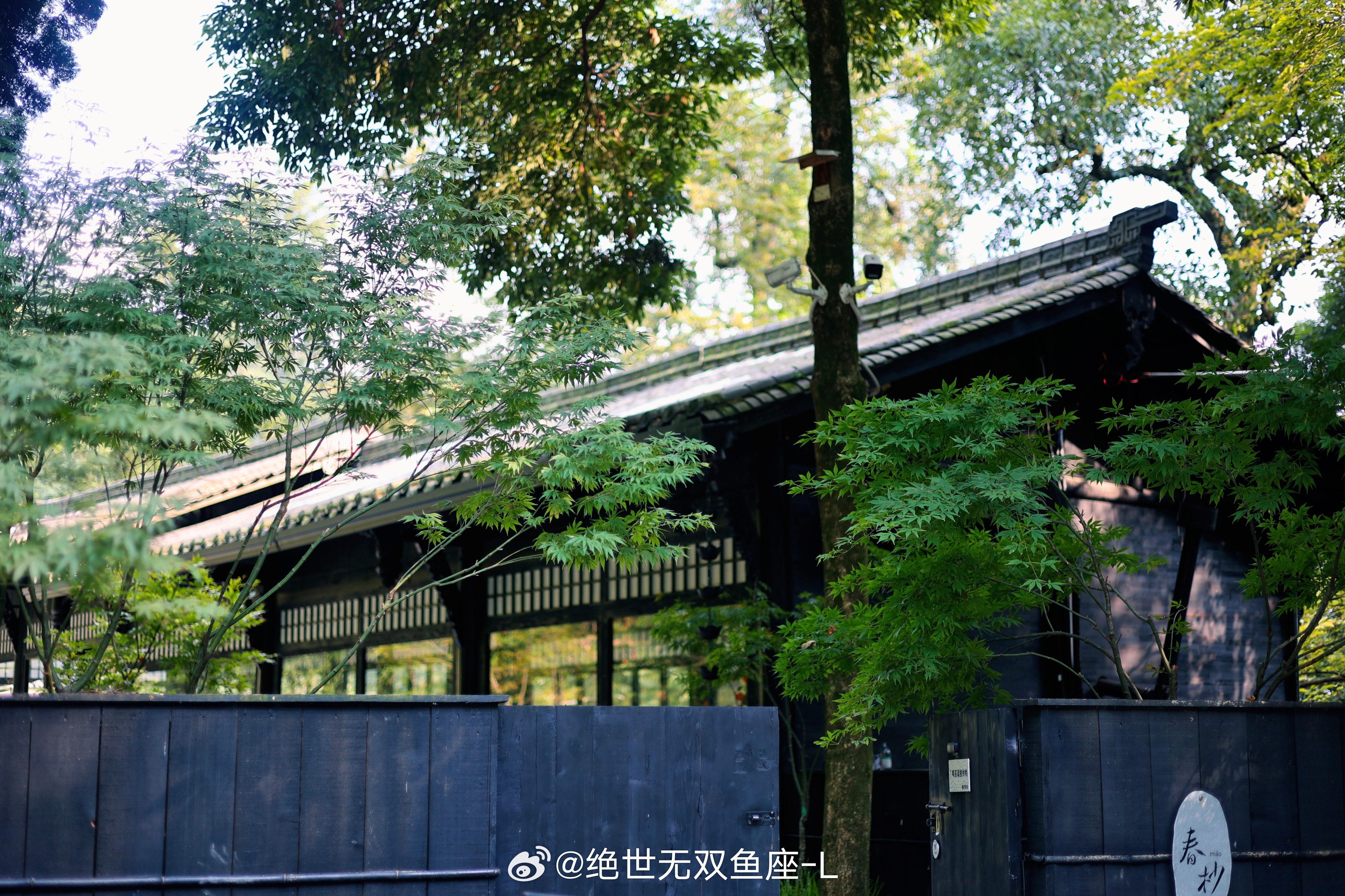 归隐⛰️ 都江堰·春杪茶院