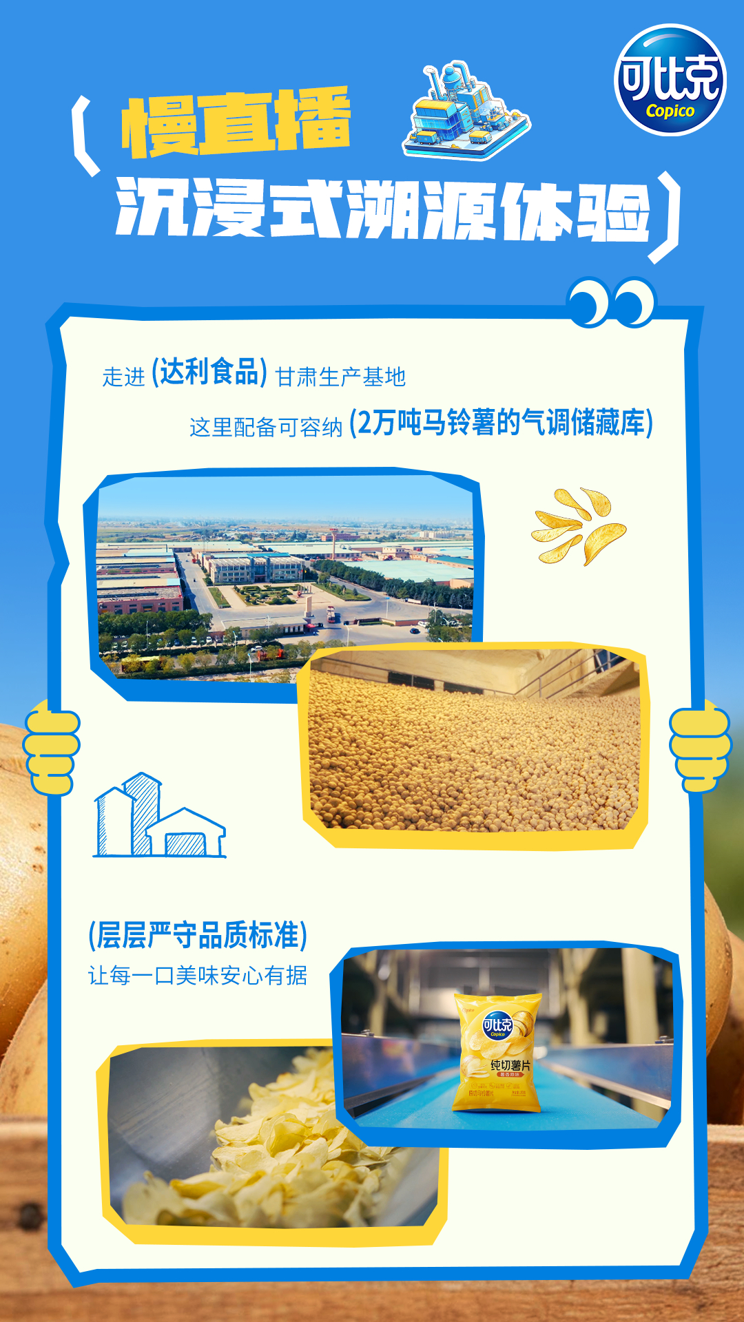 当我把土豆当成主食涨知识，什么样的土豆才算达标？产自黄金薯带，土壤水源光照条件优