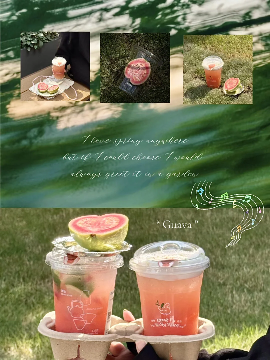 “春日就该喝新的芭乐酸嘢🍃💕…”