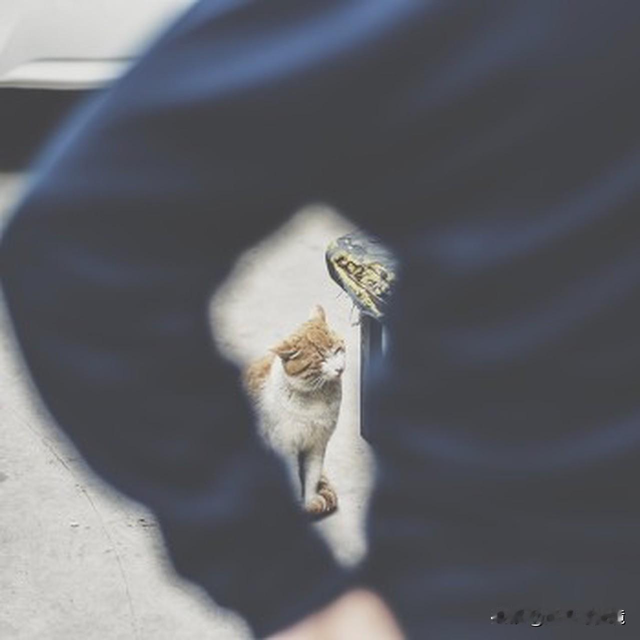 “人的命运天注定”，我可不这么觉得。好多人把这句话当借口，遇到挫折就一句“命该如