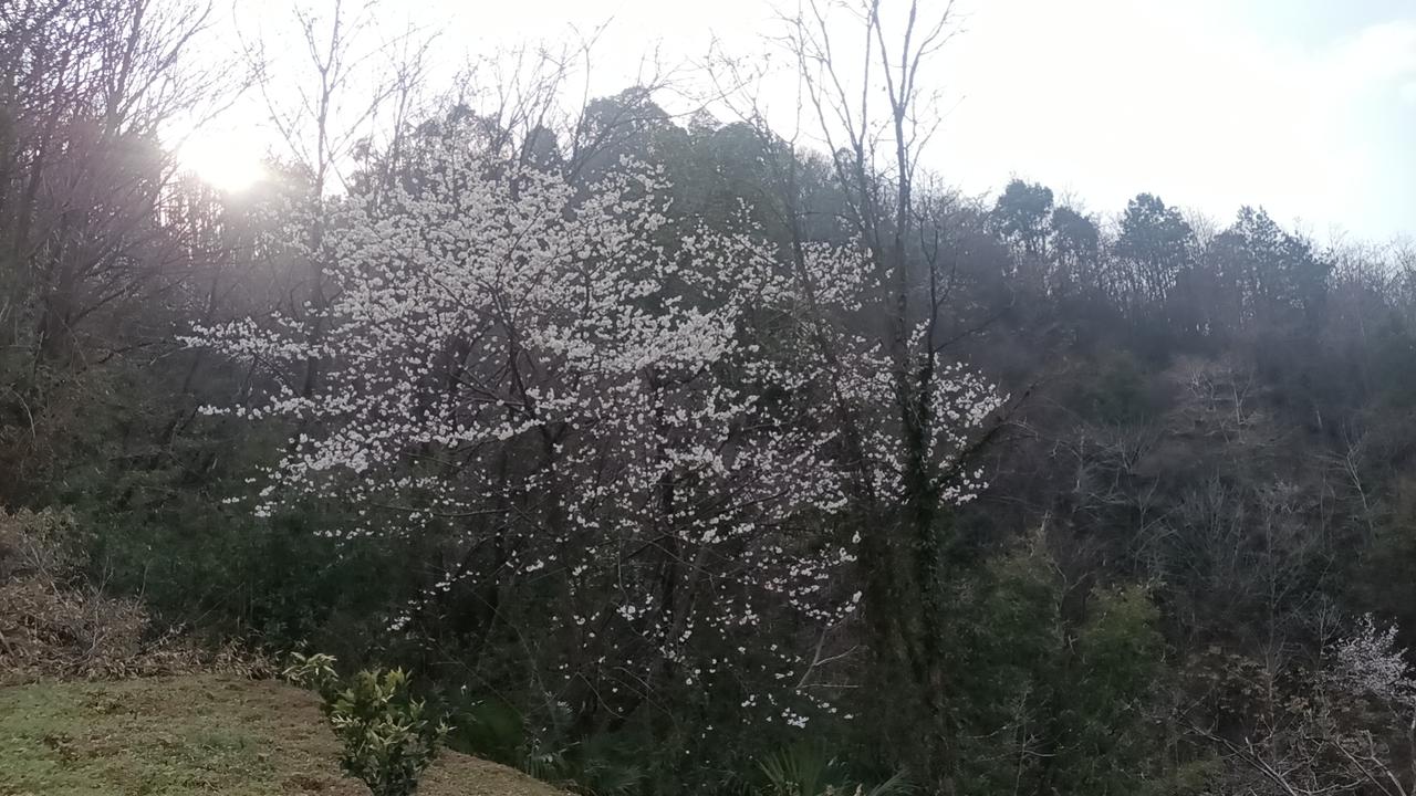 1. 只买「需要+适合+喜欢」同时满足的
缺一个都不买，少踩90%的坑。
2. 