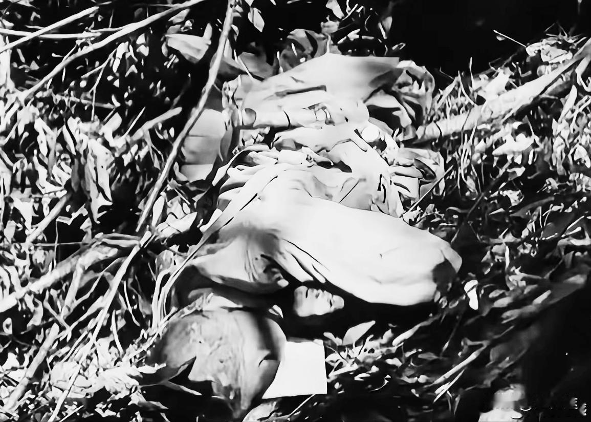 抗美援朝战争，这是美国人拍的志愿军战士牺牲后的照片。他们都还年轻，为了保家卫国，