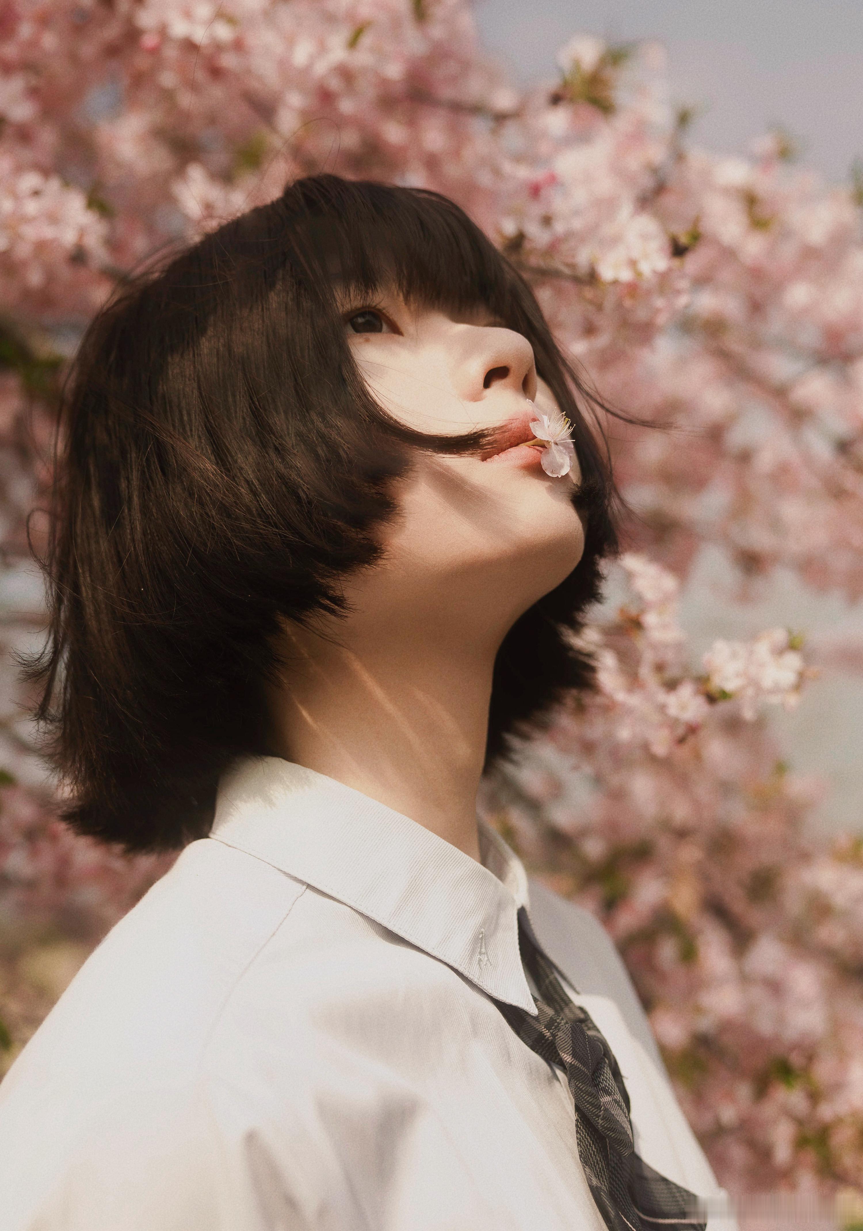 #上海约拍[超话]##人像摄影# 樱之语 ​​​