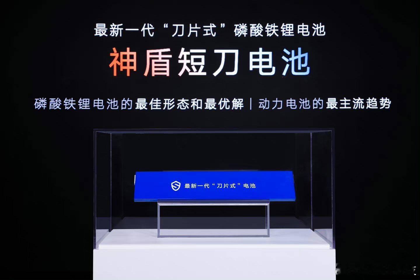 今天吉利搞了一场直播，针对最新的神盾短刀电池进行拆解，什么8针同刺，真枪弹射击，