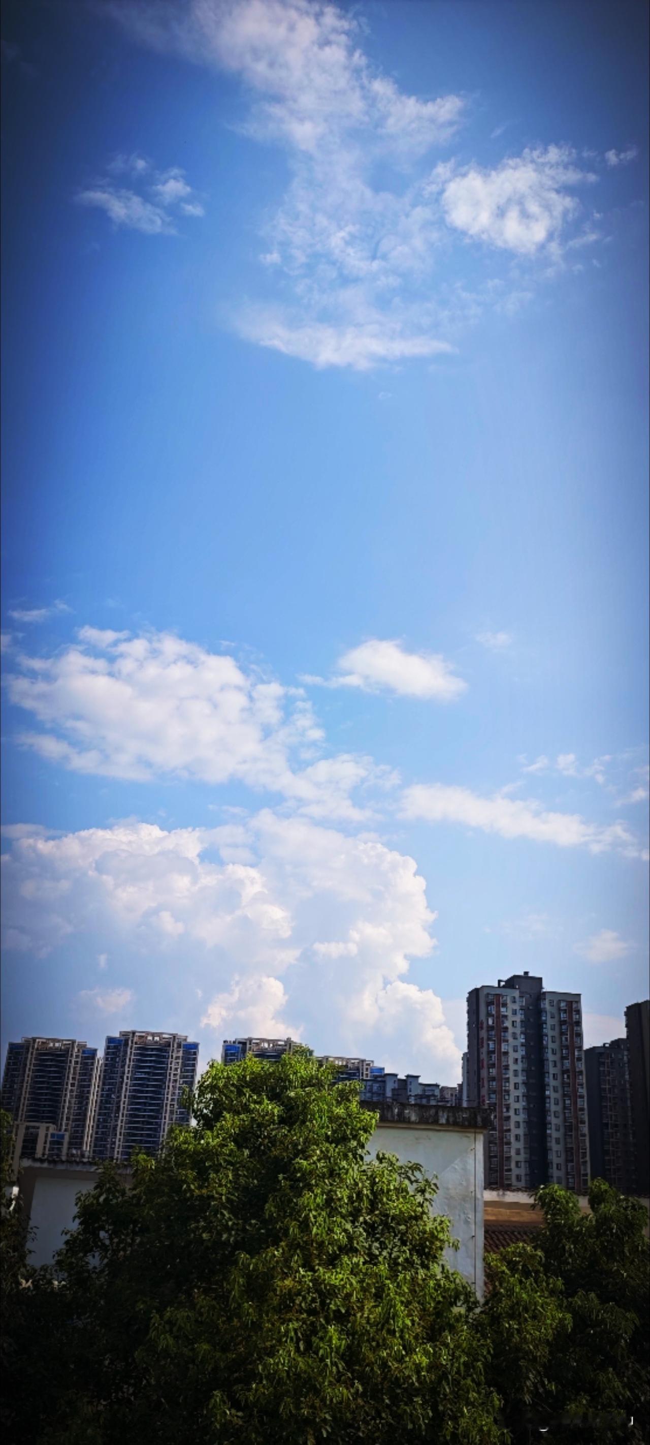 酷暑炎阳下，人也变得浮躁、奔忙、多少美景为之忽略。而此时，若能暂离城市，登山望远