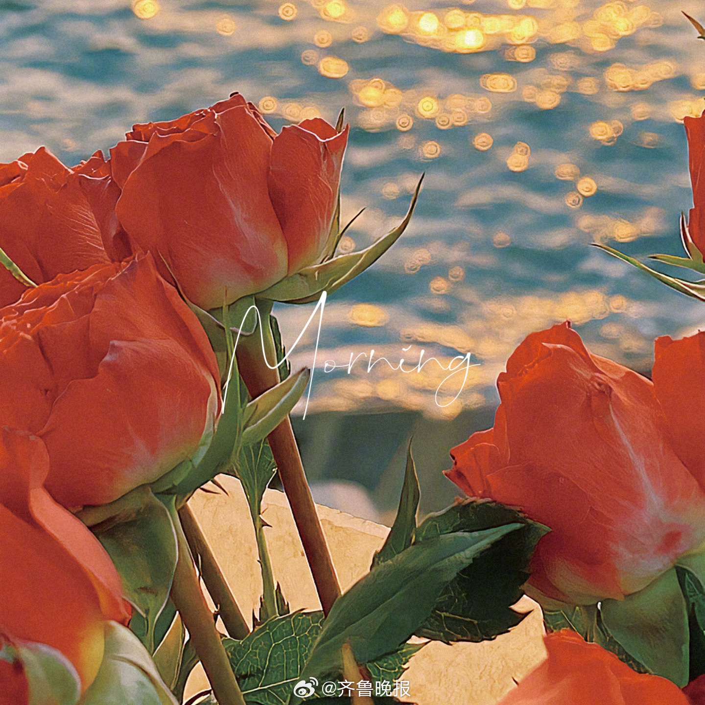 人是为今天活着的因为记忆中有朝阳晓露[太阳]#早安# ​​​