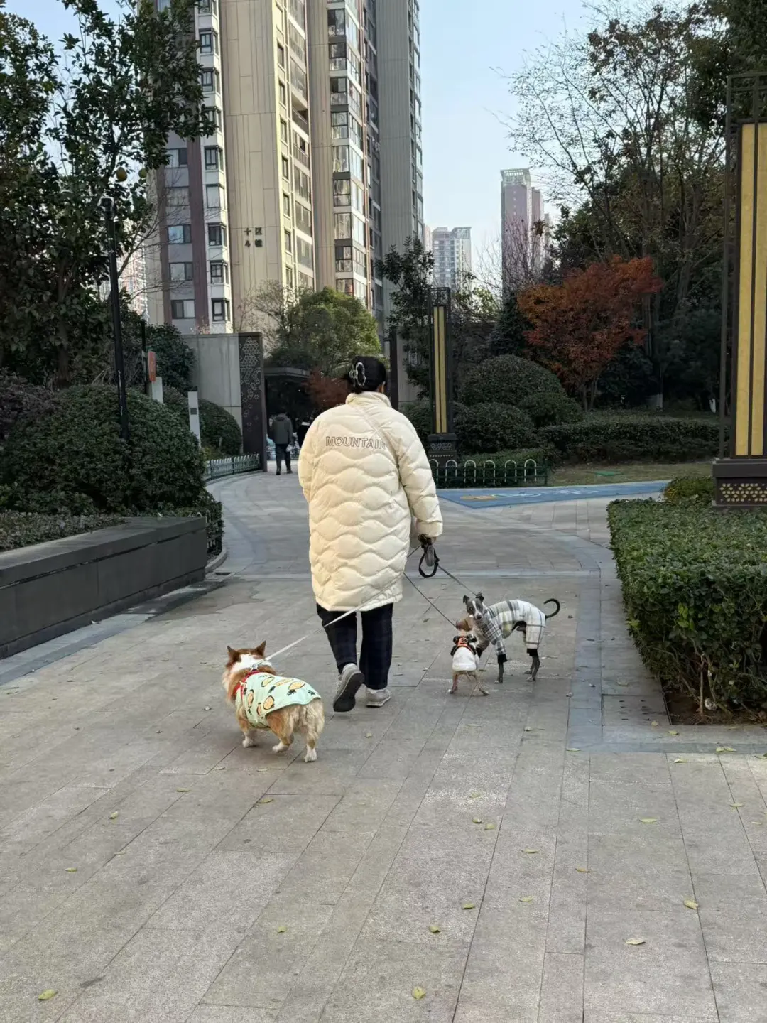 你俩能说明白啥呢