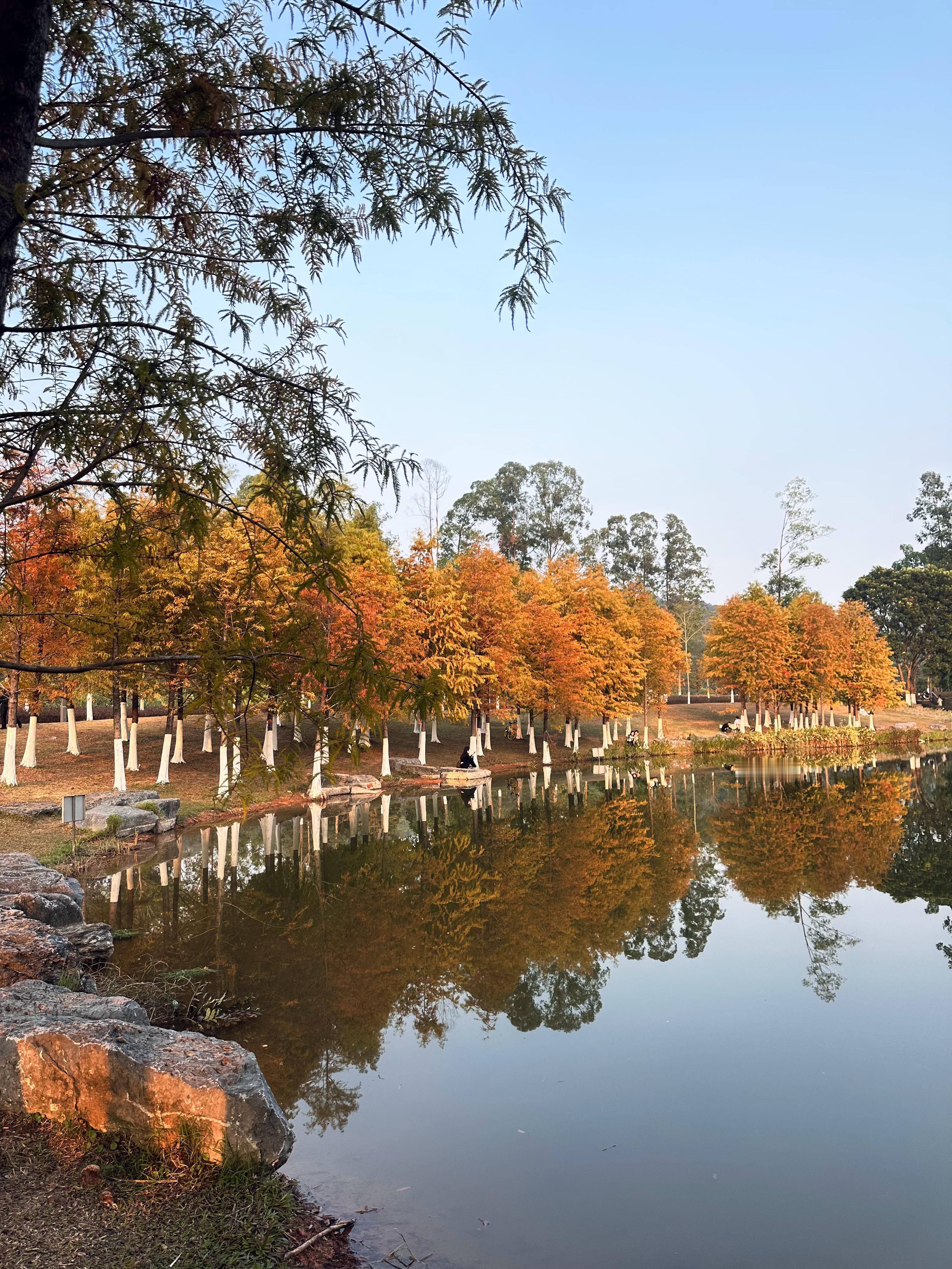 好巴适的温度 感觉心情好好嘟～🌳🫧 