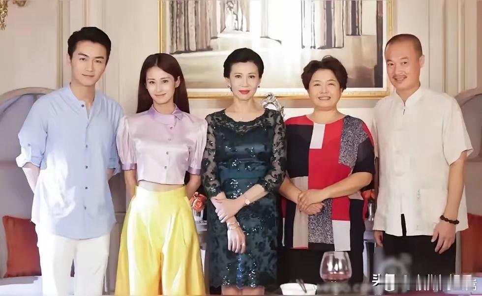 左边的是演员陈晓，中间的是张光北媳妇陈炜吗？气质真好，其余三位就不知道名字了。。