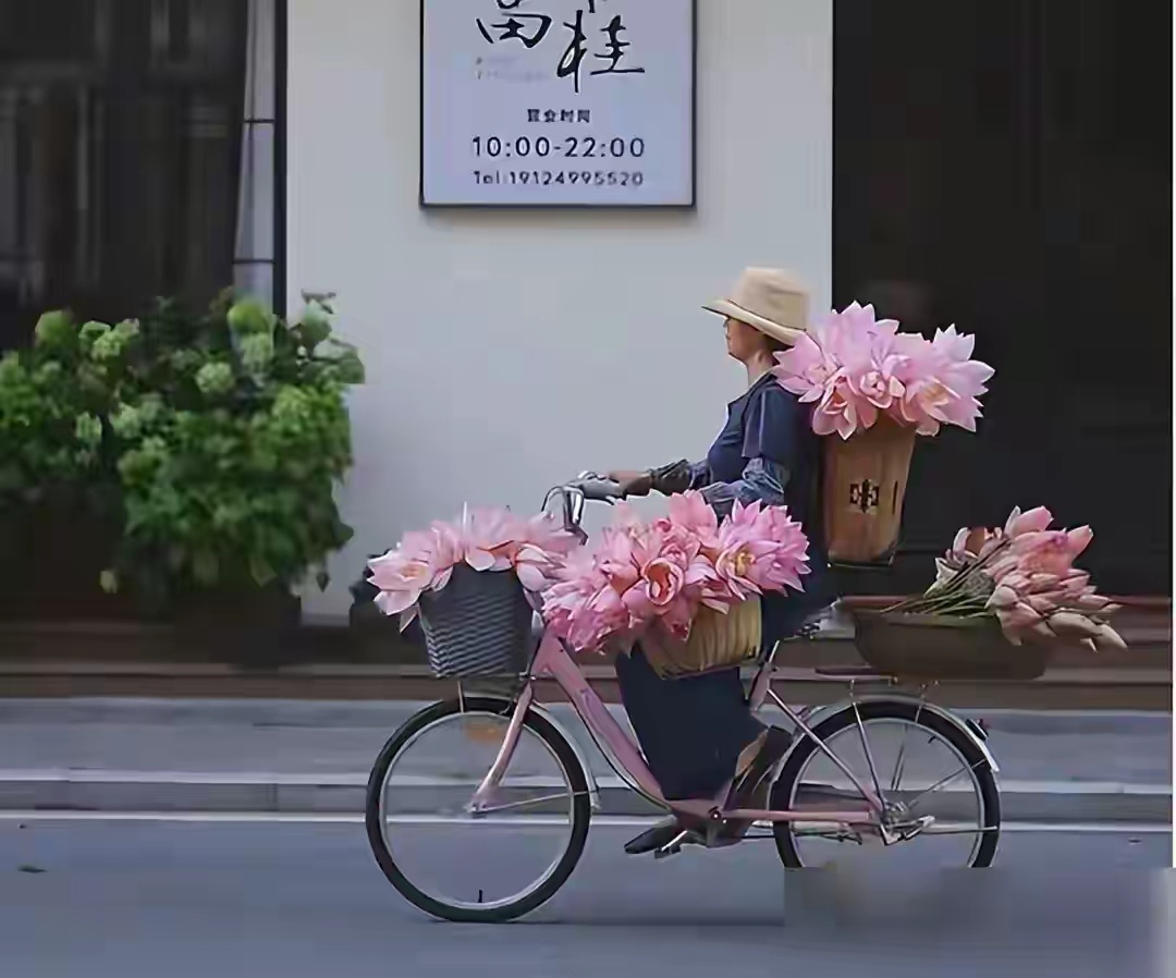 广东湛江女子单车卖荷花刷屏，画面美到不真实，获人民网转发点赞 