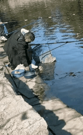 我是来钓鱼的，不是来抓鱼的。游到手边的鱼儿奈我何。