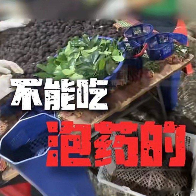 暗访十多家杨梅收购点均有添加剂每次买杨梅都挑最红最甜的，原来我挑的都是药水泡得最